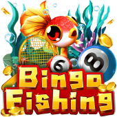 Bingo Fishing on bxb bet legit