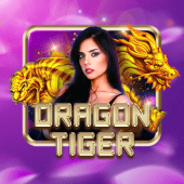 Dragon Tiger live table on bxb bet legit
